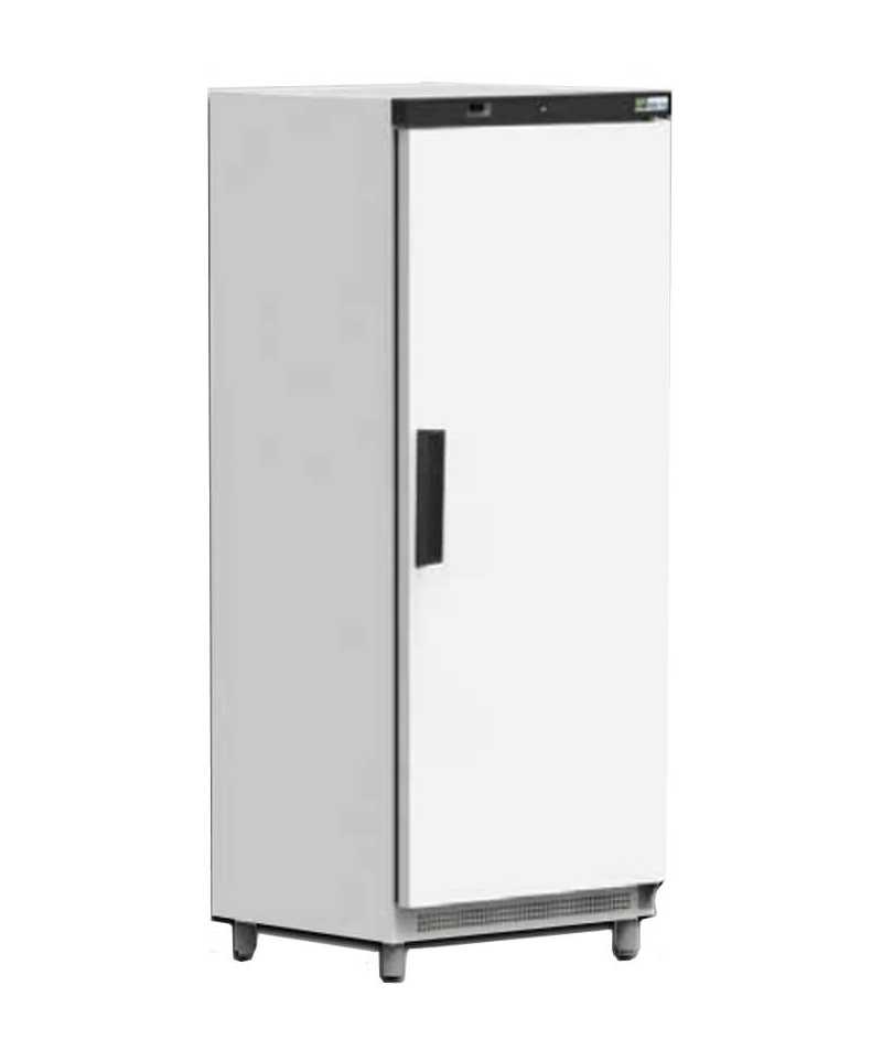 ARMOIRE LAQUEE BLANCHE POSITIVE 600 LITRES - GN2/1